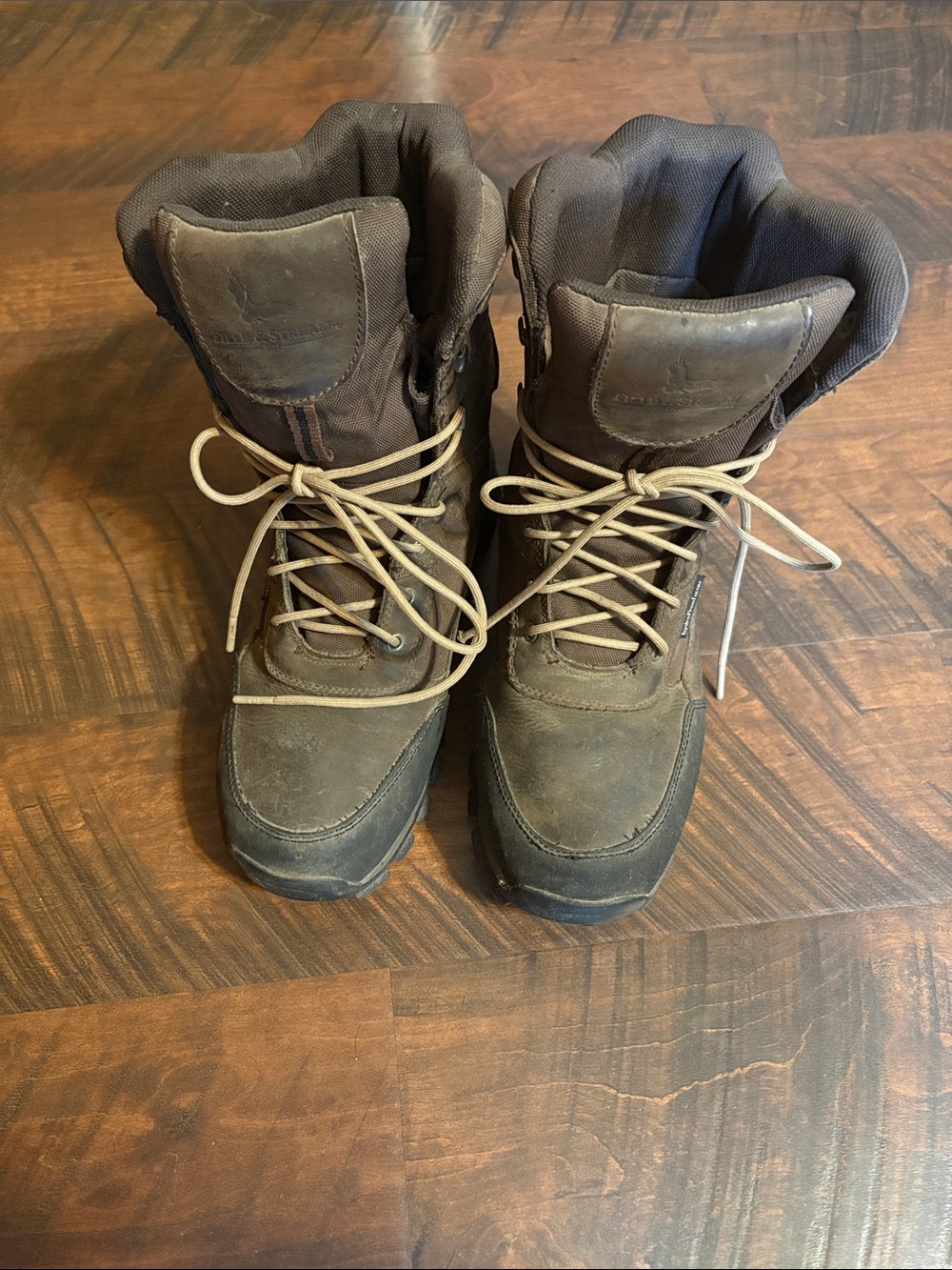 3M Thinsulate Men's Brown Lace-Up Insulated Hiking Boots